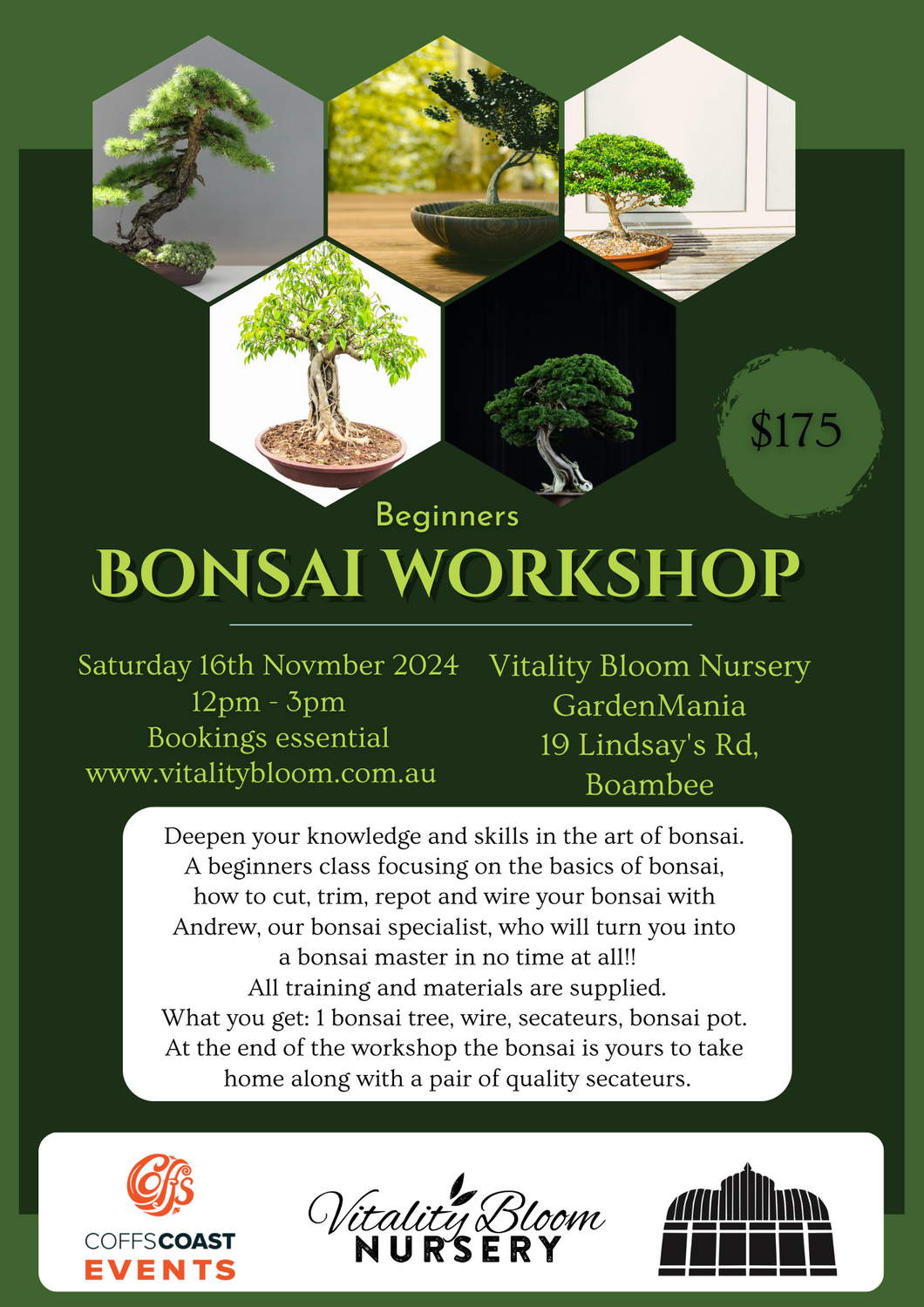 Bonsai Workshop November 16th
